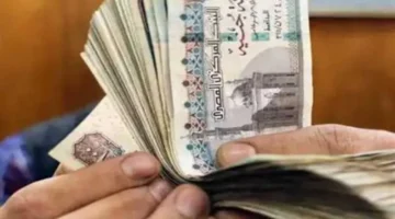 عائد 16% ثابت.. تفاصيل المزايا الجديدة للشهادات البلاتينية الثلاثية وكيفية حساب الربح تصفح الشروط والأسعار الجديدة.